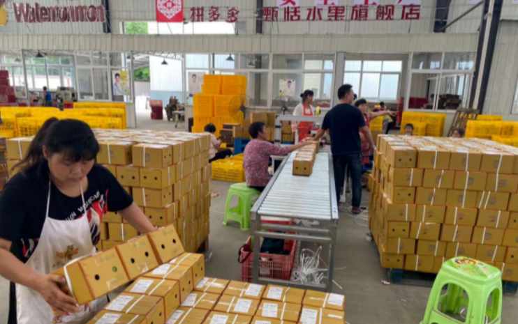 调查：中国邮政牵手拼多多到底谁受益？这里有一个案例